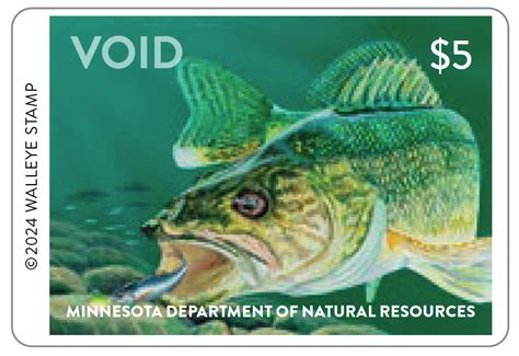 how much is a lifetime fishing license in minnesota|Fishing Licenses & Fees .